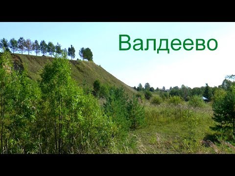 Видео: ДЕНЬ ВАЛДЕЕВА.  Коношский район.  2018г.