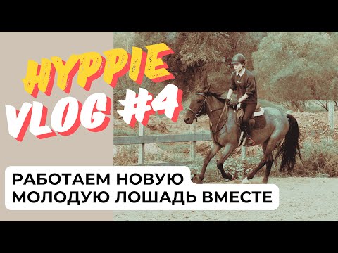 Видео: HYPPIE VLOG #4 💜 Работаем с молодым жеребцом 🚀 Обзор на наш конный магазин 🌼