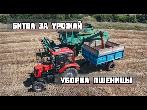 Видео: БИТВА ЗА УРОЖАЙ. НАЧАЛО 2022