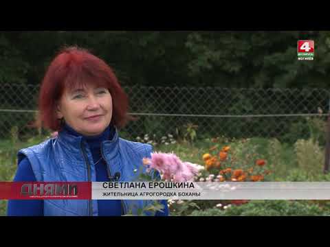 Видео: Деревня Боханы, Хотимский район, Могилевская область, Беларусь  [БЕЛАРУСЬ 4| Могилев]