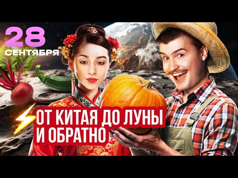 Видео: ОВОЩИ-ГИГАНТЫ, ЛУННЫЕ ПРЯНИКИ И СПОСОБЫ БОРЬБЫ СО СТРЕССОМ | Бьет ключом – новости от блогеров