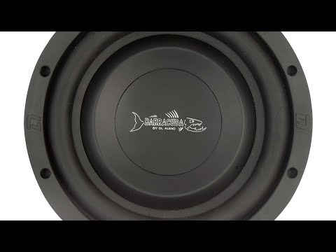 Видео: Обзор сабвуфера DL Audio Barracuda 8 Flat #vik_sound #dl_audio_official #автозвук #subwoofer