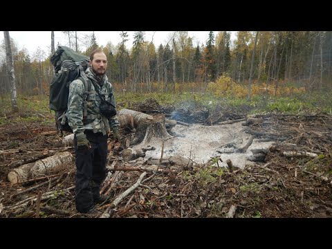 Видео: Ветлужские леса. НЕЖИЛЫЕ ДЕРЕВНИ СЕВЕРА НИЖЕГОРОДСКОЙ ОБЛАСТИ. Деревня Красная, Прелка и ЧЕНЕБЕЧИХА