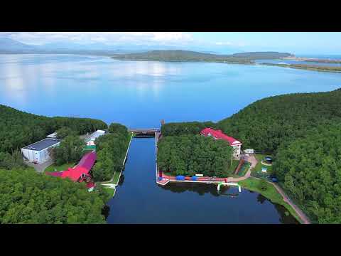 Видео: Лесное озеро 2021.