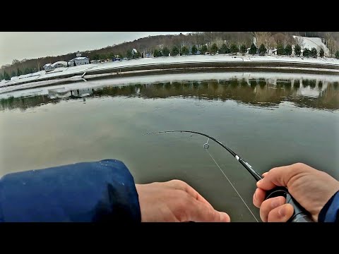 Видео: Эта ПРИМАНКА выручает ВСЕГДА. Рыбалка на МР.