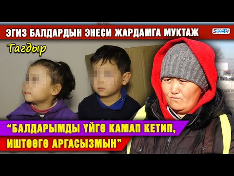 Видео: Эгиз балдардын энеси жардамга муктаж: “Балдарымды үйгө камап кетип, иштөөгө аргасызмын”