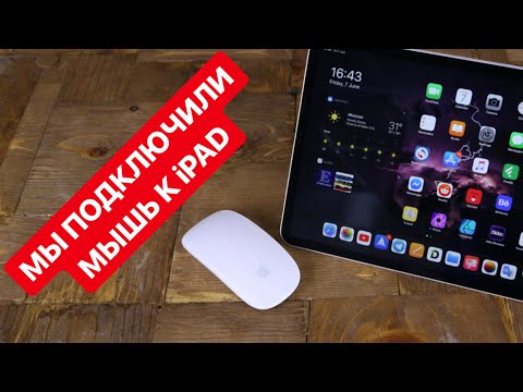 Видео: Как подключить к iPad мышку, внешний диск, карту памяти, клавиатуру и многое другое