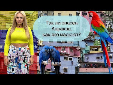 Видео: Так опасен Каракас, как его малюют?