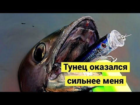 Видео: Тунец оказался сильней! Боль и разочарование!