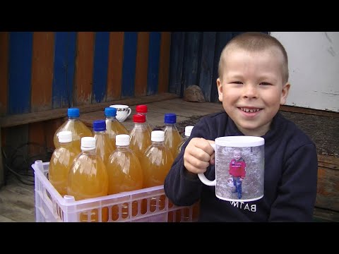 Видео: Квас без Дрожжей и Сахара из Берёзового Сока! Длительного Хранения  по Старинному Рецепту!