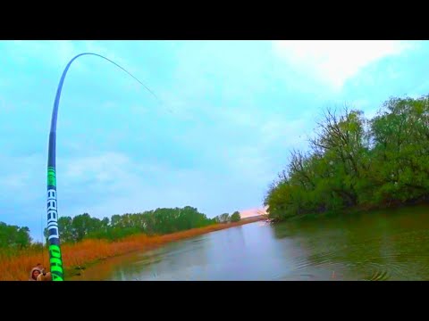 Видео: МАХОВАЯ ДУГОЙ ЕЛЕ ВЫТАЩИЛИ 15 МИНУТ БОРЬБЫ рыбалка на удочку 2020