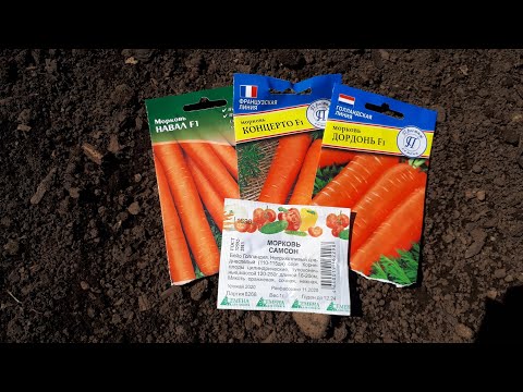 Видео: Посев моркови и свёклы 2022.