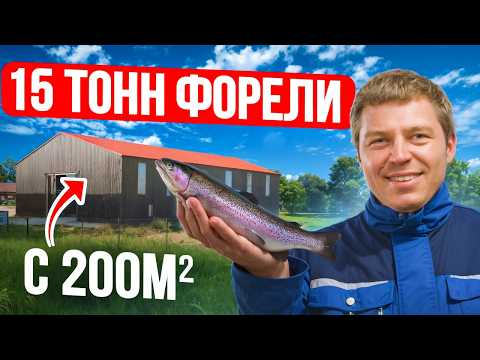 Видео: Прибыльный бизнес в деревне! Сколько это стоит? / Собираем УЗВ для разведения рыбы у себя на участке