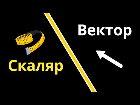 Видео: Векторлық және скалярлық шамалар | Кинематика
