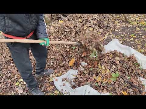 Видео: Життя переселенців в селі .Ветреное утро.Работаем в саду.земля для компоста.