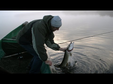 Видео: Джеркбейты для гигантских ЩУК!