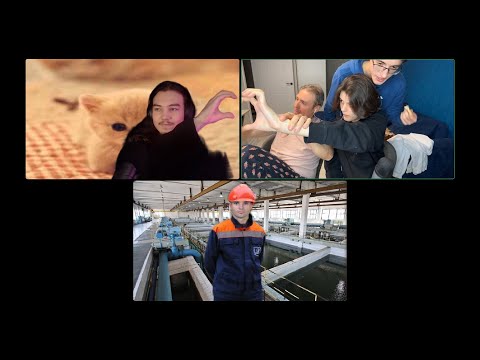 Видео: СОВМЕСТНЫЙ СТРИМ СЫРА, СЕЛЕНА, ТЮЛЕНЯ АРКАДИЯ, СИНФИСТА И РАТЕРУ