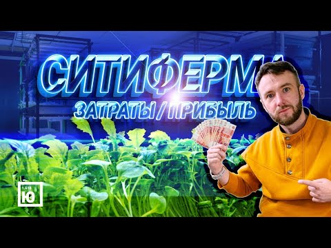 Видео: Гидро аэропоника / Тест биофильтра / Бизнес микрозелень 2021