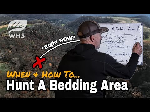 Видео: Когда охотиться на лежбище оленя | Как охотиться