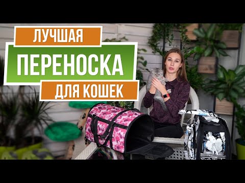 Видео: Как выбрать переноску для кота или собаки ✔️ Домик для кота - выбор сумки-переноски, советы