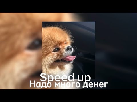 Видео: Daryana • daybe - надо много денег (speed up) | d_dava