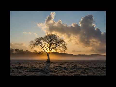 Видео: ЖҮСІПБЕК ЕЛЕБЕКОВ - ЖИЫРМА БЕС