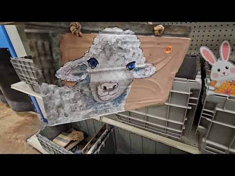 Видео: Как они вообще оказались в моей корзине? Экономия в контейнерах Goodwill.