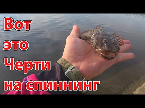 Видео: Вот такие черти на спиннинг рыбалка летом в жару ловля окуня на силиконовые приманки