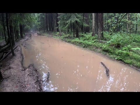 Видео: Ржевка - Колтушские высоты