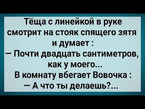 Видео: Как Теща Зятю Хозяйство Измеряла! Сборник Свежих Анекдотов! Юмор!.