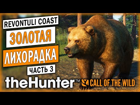 Видео: НУЖНО БОЛЬШЕ ЗОЛОТА!!! ОХОТА В ФИНЛЯНДИИ! | theHunter Call of the Wild 🦆 | (часть 3)
