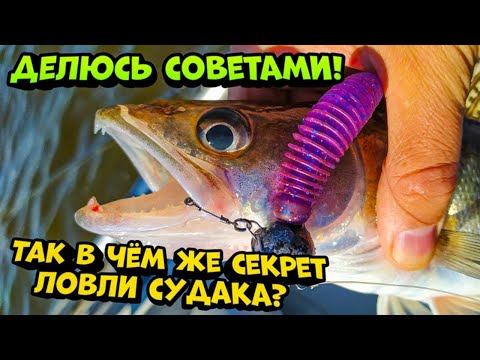 Видео: Так в чем же сeкрет ловли судака? Делюсь советами!  Ловля судака на силикон!