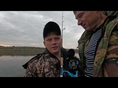 Видео: Рыбалка на Оке! ЩУКА СУДАК НА ЖИВЦА!