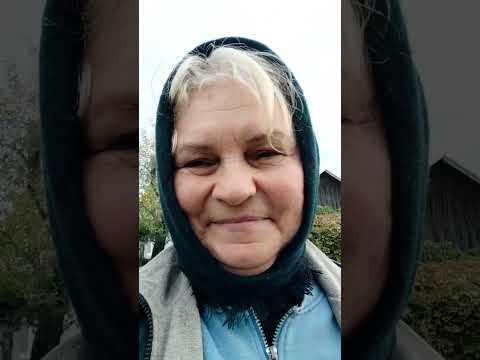Видео: Це так пішла кролям по сіно,переночувала і плани змінилися.