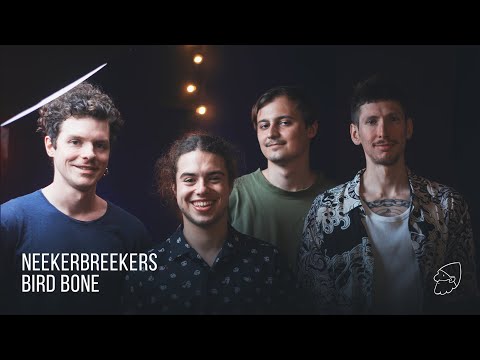 Видео: bird bone на студии Дмитрия Агапова!