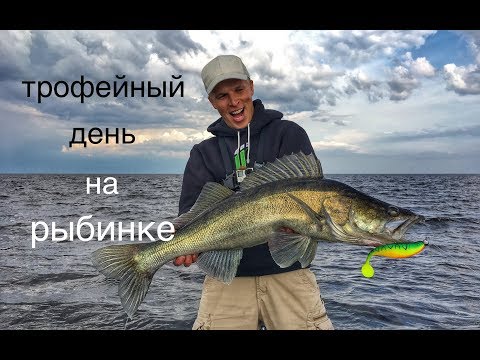 Видео: Трофейное эльдорадо на Рыбинке. Сом на воблер и стайный судак.