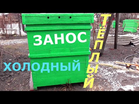 Видео: ТЁПЛЫЙ ИЛИ ХОЛОДНЫЙ ЗАНОС ????? / ЧТО ЛУЧШЕ / ПЧЕЛОПАВИЛЬОН.