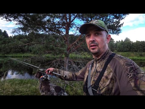 Видео: Ловля щуки спиннингом на Волге!