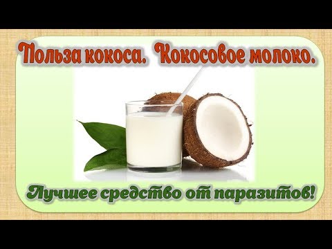 Видео: Кокосовое молоко. Польза кокоса. Лучшее средство от паразитов.