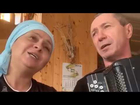 Видео: Гомерлэр тиз үтә