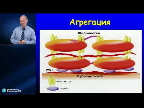 Видео: Система гемостаза в интенсивной терапии Мазурок В.А