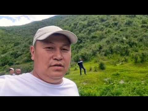 Видео: Такталык