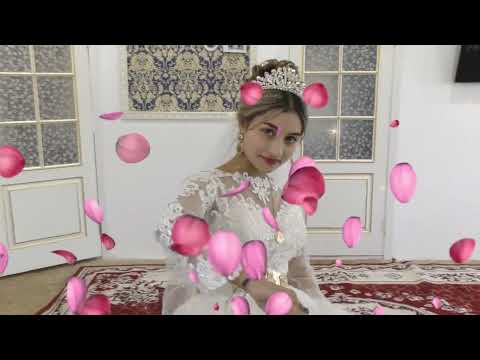 Видео: У Коля мэрзляк андя цэрэ ла боря и справил день рождения ла шавэсти.