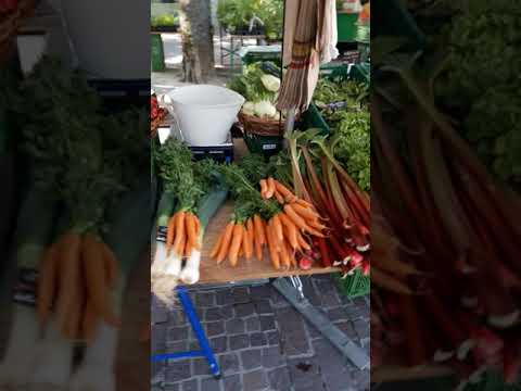 Видео: Лоррах оживает. #Лоррах #Германия  #Города Германии