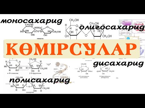 Видео: Көмірсулар (моносахаридтер, дисахаридтер, олигосахаридтер, полисахаридтер) 1 бөлім