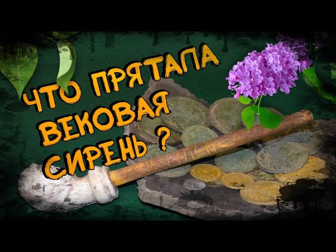 Видео: # ШУРФ / СИРЕНЬ ХРАНИЛА ЭТИ АРТЕФАКТЫ МНОГО ЛЕТ.