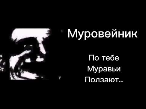 Видео: Ты сел на: