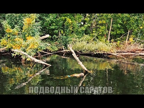 Видео: Подводная Охота " ВСЯ РЫБА С ВОЛГИ ЗДЕСЬ " Большие Щуки, Сазан, Судак, Сом, Голавль, Язь, Лещ, Окунь