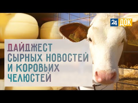 Видео: Сыр, коровы и саженцы. АГРОНОРМ