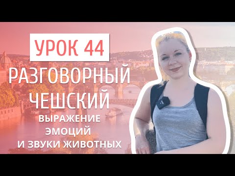 Видео: Урок 44. Разговорный чешский I Выражение эмоций и звуки животных